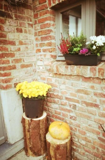 Lesse En Ciel Vous Accueille Avec Plaisir . Houyet Exterior foto